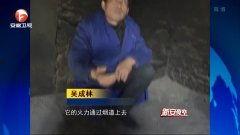 高老阁在线视频观看,揭秘古典艺术之美