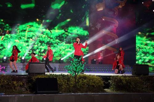 在线视频直播德庆元宵,直播带你领略传统民俗魅力