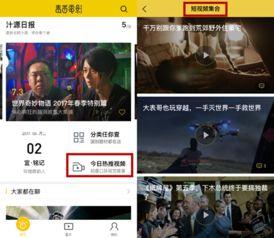 毒舌100在线视频,犀利点评，揭秘娱乐圈真相