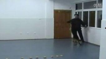 女厕所小便在线视频播放,网络直播引发社会热议