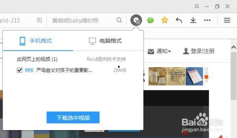 怎样下载网上在线视频,在线视频下载全攻略