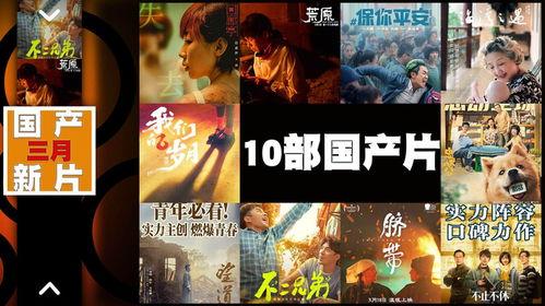 国产院线在线视频,重温经典，探索光影魅力