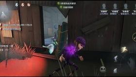 滛祭岛在线视频迅雷,揭秘神秘岛上的禁忌狂欢