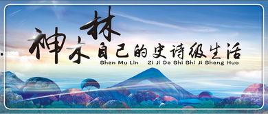 神木林在线视频观看,穿越时空的奇幻之旅