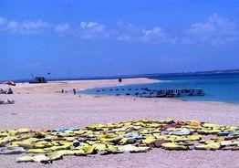 澎湖湾在线视频