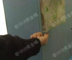 厕所摸在线视频,揭秘网络短视频背后的趣味与争议