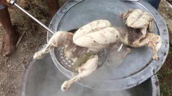 野鸡鲁在线视频,揭秘虚假信息背后的真相