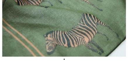 斑马韩国在线视频